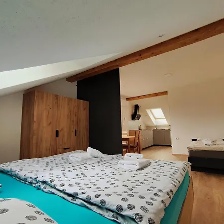 And Pri Baslju ホームステイ