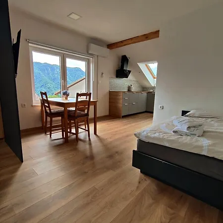 Privatunterkunft And Pri Baslju *